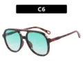Lunettes aviateur rétro à double pont avec monture écaille et verres dégradés verts - Taille unique / Style Écaille de Tortue Double Vert (C6)
