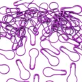 Vista dettagliata di spille da balia viola a forma di zucca per il lavoro a maglia - Viola