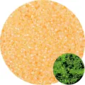 Transparente pfirsichfarbene leuchtende Glasperlen für DIY-Schmuck mit Leuchteffekt. - 2.5mm (10g/Packung) / Orangegelb