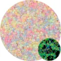 Nachtleuchtende Glasperlen in Macaron-Farben für DIY-Schmuckherstellung und Basteln - 2.5mm (10g/Packung) / Zufällige Mischfarben