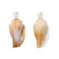 Elegant cream and brown acrylic conch shell pendants for DIY jewelry making accessories - 15 Pieces (15x32mm)