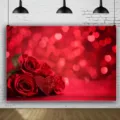 Fond de photographie de la Saint-Valentin avec roses rouges et cœur pour décor de fête - SBJ-009 / 95x75cm