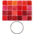 DIY seed bead kit with 24-compartment storage box and silver craft wire for jewelry - Combo Set: Steel Bracelet Loops + 24 Grids Kit / 5g Per Grid / Red Series