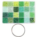 Comprehensive green seed and bugle bead kit for DIY jewelry making with silver wire coil - Combo Set (with Bracelet Wire Circle + Seed & Tube Beads) / 24 Grids (5g per Grid) / Green Series