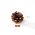 Natural brown pine cone for DIY Christmas wreath crafts, size 3-4cm, weight 8g - Height 3-4cm / Local Pine Cones 3-4cm