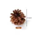 Natural 5-6cm dried pinecone for Christmas DIY wreath decoration, weighing 13g roughly - Height 5-6cm / Local Pine Cones 5-6cm