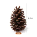 Natural decorative pine cone ornament with 12-15cm height and 53g weight - Height 12-15cm / American Pine Cones 12-15cm