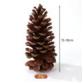 Natural large dried pinecone 15-18cm for Christmas DIY crafts and wreath decorations - Height 15-18cm / American Pine Cones 15-18cm