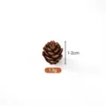 Mini natural pine cone for DIY Christmas wreath crafts, 1-2cm decorative SKU variant - 1-2CM / Pine Cone Flowers 1-2cm