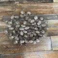 Natural and white-tipped mini pine cones for festive Christmas DIY home decor and crafts - Snow-tipped Pine Flower / 2-3cm