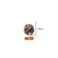 Small natural pine cone 1-2cm for DIY Christmas wreath decorations and handmade crafts - 1-2CM / White-Tipped Pine Cone 1-2 cm