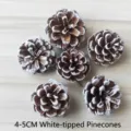 Natural 4-5cm white-tipped pine cones for Christmas DIY crafts and rustic home decor - Snow-tipped Pine Cone / 4-5cm