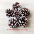 6pcs natural white-tipped pinecones for Christmas DIY crafts, 5-6cm decorative cones - Snow-tipped Pine Cone / 5-6cm