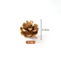 Gold painted natural pinecone for Christmas DIY wreath crafts, 2-3cm size, 5.2g weight - 2-3cm / Gold Painted Chinese Pine Cones 2-3cm