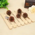 Five natural brown pine cones on a wooden slat for rustic DIY Christmas decor. - Local Pine / 3-4cm