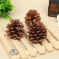 Three natural brown dried pine cones on wooden slats for rustic Christmas DIY decoration - Local Pine / 4-5cm