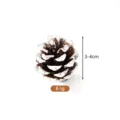 Natural snow-tipped pine cone for Christmas DIY crafts, 3-4cm size spec - 3-4cm / White
