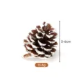 Natural pinecone Christmas decoration with white tipped edges, 5-6cm height, 15.6g weight. - 5-6cm / White-Tipped Chinese Pine