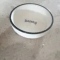 Elegant white Nordic ceramic bowl featuring a black rim and Dainty printed text design - Dish (Letter Design)