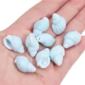 Perles en céramique bleu clair en forme de coquillage pour la création de bijoux DIY - Style Conque Spirale (14x22mm)