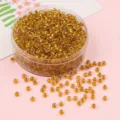 Cuentas de vidrio ámbar dorado en un recipiente redondo transparente para joyería DIY - 4mm (10g/Paquete) / Oro K