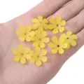 Yellow 20mm frosted semi-transparent acrylic flower beads for jewelry and hairpin DIY - 50 Pieces/Pack / Yellow