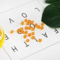 Orange 4mm bicone crystal loose beads for DIY jewelry making and bracelets - Orange