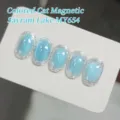 Detail van ijsblauwe cat eye magnetische nagellak uit de Sayram Lake-serie - Kattenoog Gel Nagellak / Enkele fles / MY654-Sayram Lake