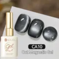 Vernis à ongles URSUGAR 15ml Cat Magnetic CA10 avec effet œil de chat argent foncé - CA10