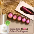 BORN PRETTY red-brown cat eye magnetic gel nail polish in Guava Soda MY121 shade - Guava Soda (MY121)