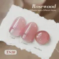 Vernis à ongles BORN PRETTY Rosewood jelly TS10 montrant les effets 1 et 2 couches - Bois de Rose (TS10)