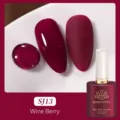 Vernis à ongles gel BORN PRETTY Wine Berry avec effets brillant et mat - Baie de Vin (SJ13)