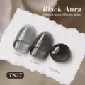 Vernis gel BORN PRETTY jelly black aura TS27 avec détails des effets 1 et 2 couches - Noir Glacé (TS27)