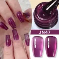 Smalto gel Born Pretty viola traslucido effetto jelly JN47 professionale - Viola Prugna Ghiaccio Traslucido (JN47)