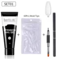 Kit complet de gel d'extension d'ongles avec 60 embouts et pinceau à double embout - Kit d'Extension d'Ongles (SET01) / Transparent/Blanc Laiteux No. 01