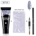 Kit gel d'extension d'ongles avec gel pailleté 15g, 60 capsules et outil double - Kit d'Extension d'Ongles (SET10) / Pailleté No. 10