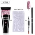 Πλήρες σετ επέκτασης νυχιών με glitter gel, 60 tips και εργαλείο πινέλου διπλής όψης - Ροζ Γκλίτερ Αρ. 11