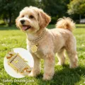 Adjustable rhinestone cuban link dog collar with cute paw pendant for small pets luxury style. - Classic Cat Paw Pendant Style / 20cm / Gold