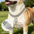 Close-up detail of rhinestone pet cuban chain collar, secure double lock clasp and paw charm. - Classic Cat Paw Pendant Style / 20cm / Silver
