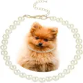Elegant white pearl pet necklace with an adjustable gold chain for small dogs and cats. - 20cm Length / White