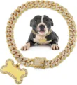 Gedetailleerd beeld van gouden Cubaanse schakel huisdierhalsband met glimmende bot-tag - XS / Goud