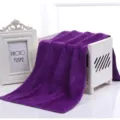 Absorbent purple microfiber cleaning towel lint-free for household and kitchen tasks - 30x30cm (带挂绳) / Purple