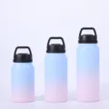 Gradient blue and pink stainless steel sports water bottles in three sizes - 800ML / Blue-Pink Gradient