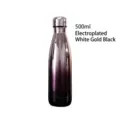 500ml vacuum insulated stainless steel water bottle with gradient electroplated finish - 500ml / Electroplated Silver Black Gradient