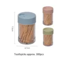 Porte-cure-dents portable avec 300 cure-dents en bambou à deux têtes, 7,5x4,7 cm - Style 01 (1867) / 300 Pièces
