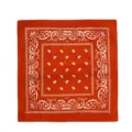 Pañuelo cuadrado paisley naranja clásico, ideal para atuendos de hip-hop y calle - Rojo Anaranjado