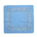 Bandana azul cielo con motivo paisley estilo hip hop, pañuelo cuadrado versátil y moda - Azul cielo