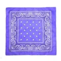 Bandana paisley violeta pañuelo cuadrado hip-hop con estampado de diseño clásico - Violeta Claro