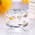 Close-up of elegant crystal seashell figurine with a shimmering pearl inside - Crystal Clam Figurine