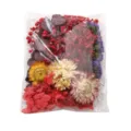 Assorted colorful dried and preserved flowers pack for DIY crafts and decorations. - 17.5g Pack / Red